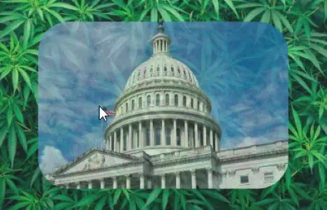 Marijuana Rescheduling Executive Order Explained